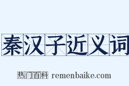 秦汉子近义词是什么意思的图片